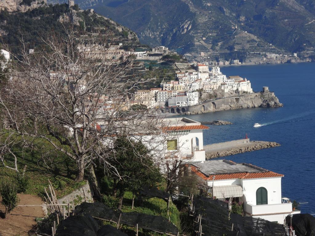 Tenuta Cavaliere Breathtaking View Hébergement de vacances Amalfi